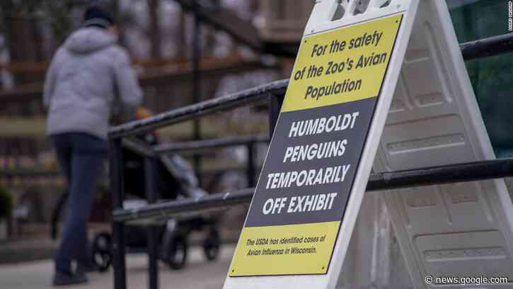 Zoos are moving their birds indoors to protect them against a deadly strain of the avian flu - CNN