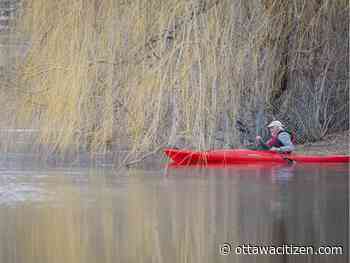 Weather: High of 6 C for Sunday ahead of a glorious Monday and then a rainy week