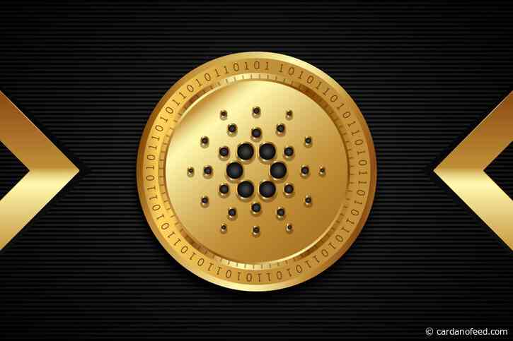 How Cardano works: all about transactions and ADA - Cardano Feed