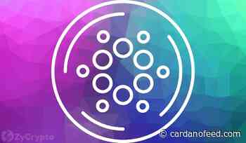 Nearly 1000 Projects Are Now Building On Cardano As ADA Ecosystem Flares With Massive Activity - Cardano Feed