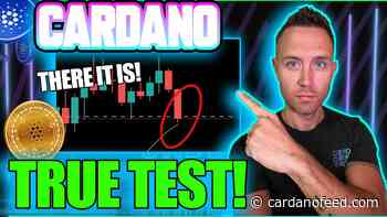 CARDANO, THE MOVE WE'VE BEEN WAITING FOR! (Pressure Is On ADA) - Cardano Feed