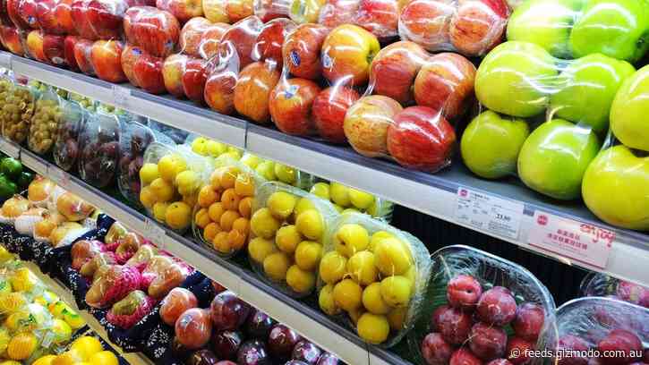 The Emerging Tech in the Food, Transport and Energy Sector Helping Counter the Effects of Climate Change