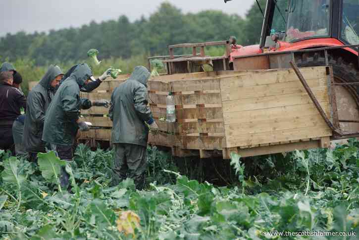 Failure to tackle labour shortages will shrink UK food sector permanently - The Scottish Farmer
