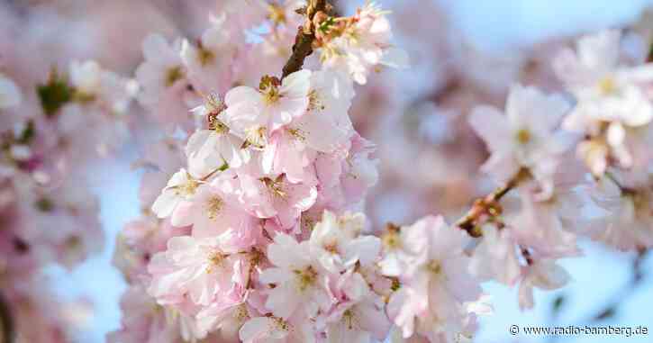 Nach Schnee und Regen kommt die Sonne