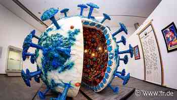 „Seuchen“-Ausstellung in Hildesheim geht in die Verlängerung - fr.de