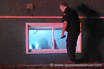 Quesnel fire department responds to fire inside apartment building – Quesnel Cariboo Observer - Quesnel - Cariboo Observer