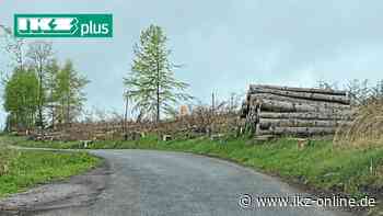 Hemer: Grüne Alternative will K 11-Pläne sofort stoppen - IKZ News