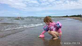 Ontario lakeside towns take on short-term rentals to preserve their way of life
