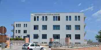 Open Day Made in UniMol: parliamo del tuo prossimo corso di laurea - Termoli Online