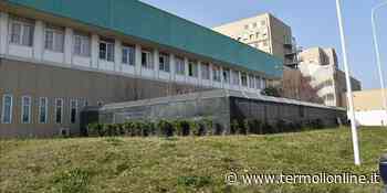 Concorso Asrem per infermieri e Oss, Vasile (Fials): «Ci sono delle criticità» - Termoli Online