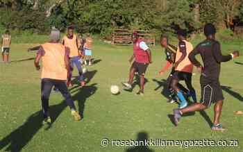 Football club aims to develop youth potential - Rosebank Killarney Gazette