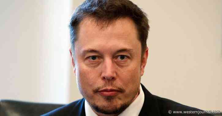 New Twitter Board Member Elon Musk Surprised After Digging Into the Numbers: 'Is Twitter Dying?'