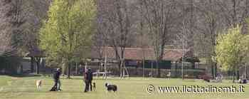 Appello Enpa Monza: «Controlli e multe per i cani liberi nel Parco e nei giardini reali» - Il Cittadino di Monza e Brianza