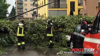 Meteo, il sole splende su Monza ma attenzione al vento forte: raffiche fino a a 80Km/h - MonzaToday