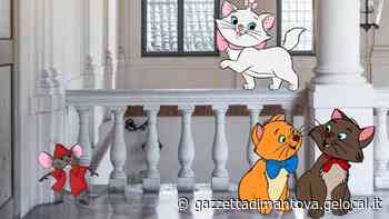 Bimbi al museo, i piccoli Aristogatti protagonisti a Palazzo d'Arco - La Gazzetta di Mantova