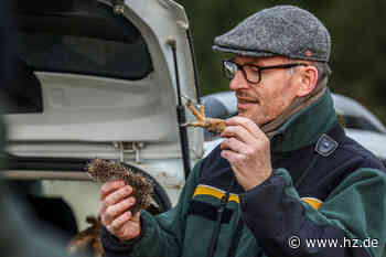 Zwischen Steinheim und Bartholomä: Auf Eulensuche mit dem Nabu-Vogelexperten Martin Palaoro - Heidenheimer Zeitung