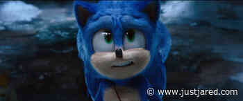'Sonic the Hedgehog 2' Breaks Video Game Adaptation Box Office Record - See How Much it Made Opening Weekend!