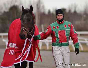 Half of Cumberland race card won by Deslandes - Harnesslink