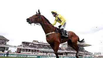 Grand National news: Cobden delighted with Lostintranslation for Grand National - LiveScore