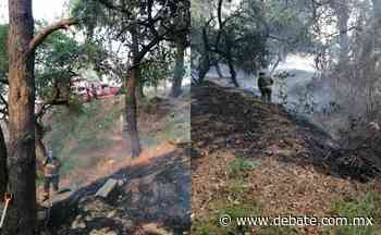 Tras 8 horas, brigadistas apagan incendio forestal 5 en dos días junto a la México-Cuernavaca - Debate