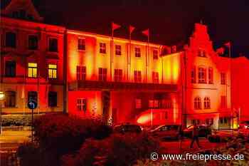 Übernahme des Neuberinhauses: Kreistag setzt Reichenbach Frist - freiepresse.de