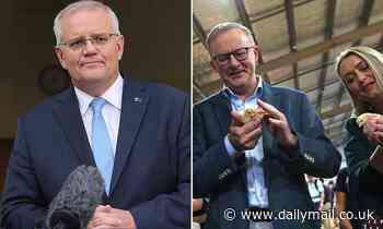 Australia federal election 2022: Scott Morrison admits making mistakes - Daily Mail