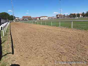 Fondo impraticabile, corse di Monteroni rinviate al lunedì di Pasquetta - Siena News