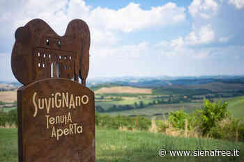 ''Il valore della legalità'': mercoledì 13 aprile iniziativa della CGIL di Siena a Suvignano - SienaFree.it