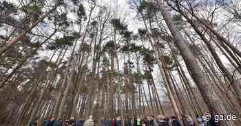Windkraft: Kommen Windräder in ein Waldgebiet in Sinzig? - General-Anzeiger Bonn
