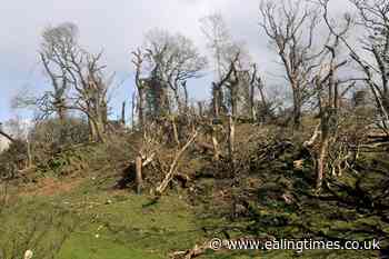 Owner 'in shock' after tornado batters Welsh farm - Ealing Times