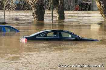 British-born dog breeder dies after getting caught in Australian floods - Ealing Times