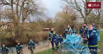Engagierte junge Bürger räumen den Müll anderer in Ehingen auf - Schwäbische