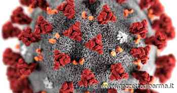 Nessun deceduto a Parma e 430 nuovi casi di Covid. Stabili i ricoverati in terapia intensiva (2) - Gazzetta di Parma