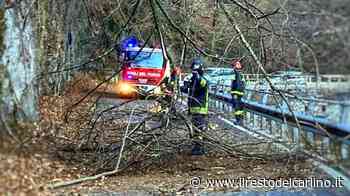 Parma: forti raffiche di vento, chiusi oggi i parchi pubblici - il Resto del Carlino