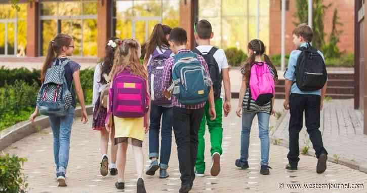 More Than a Dozen States Now Considering Florida-Style Anti-'Grooming' Bill