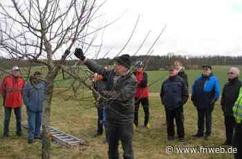 Ein gelungener Start in die neue Saison - Osterburken - Nachrichten und Informationen - Fränkische Nachrichten