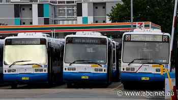 Live: NSW Now: Sydney bus drivers walk off job for better pay and conditions