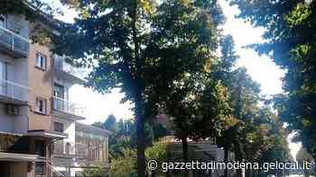 Carpi. Ciclabile di via Muratori Petizione da 130 firme - La Gazzetta di Modena