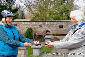 Langley horse lovers lauded – Aldergrove Star - Aldergrove Star