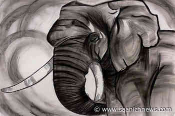 Graduating visual arts students prepare for year-end exhibit at UVic – Saanich News - Saanich News