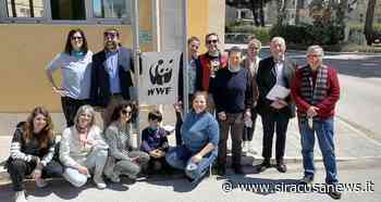 Nasce il Wwf a Siracusa, la biologa marina Oleana Prato eletta presidente - Siracusa News