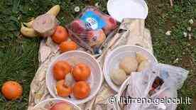 Prato, i cinesi mangiano al cimitero e lasciano cibo ai defunti: le origini del rito che scatena la polemica - Il Tirreno