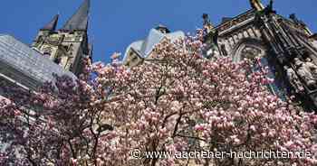 Tourismus in Aachen: Mit Zuversicht und Ideen die Touristen zurückgewinnen - Aachener Nachrichten