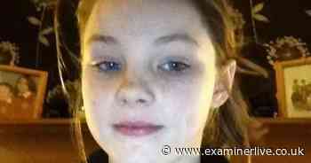 11 Yorkshire criminals brought to justice this week - Yorkshire Live