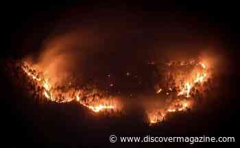 Following Two Years After Australia's Lethal Black Summer Fires