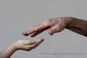 Longevity Researchers Want to Help You Live Longer