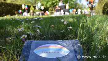 Sterben in der Uckermark: Wenn Menschen zwischen Angermünde, Schwedt und Gartz einsam sterben – wer organisiert die Bestattung und was darf sie kosten? - Märkische Onlinezeitung