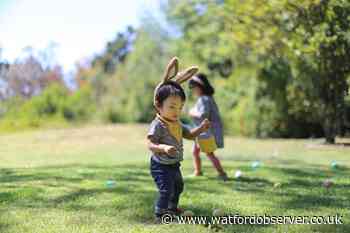 Easter activities near me: National Trust events including Easter egg hunts near Watford