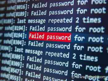 Crypto Coach: How to protect your seed phrase