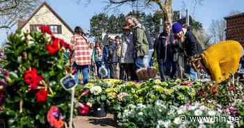 Na twee jaar verplichte onderbreking opnieuw groenmarkt op nieuwe locatie - Het Laatste Nieuws